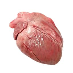 Pork heart