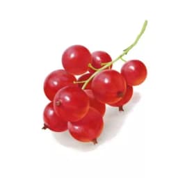 Смородина красная