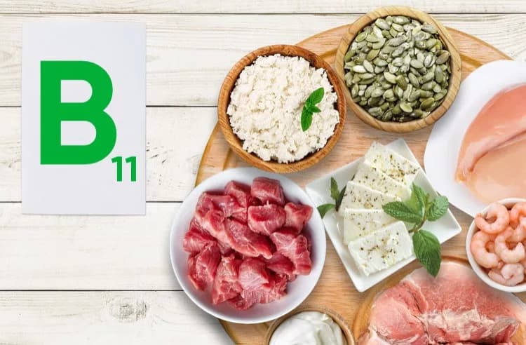 Витамин В11(L-карнитин)