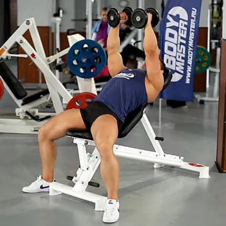 Сведение гантелей на скамье с положительным наклоном
