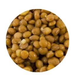 Чечевица варёная на воде