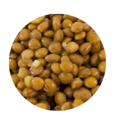 Чечевица варёная на воде