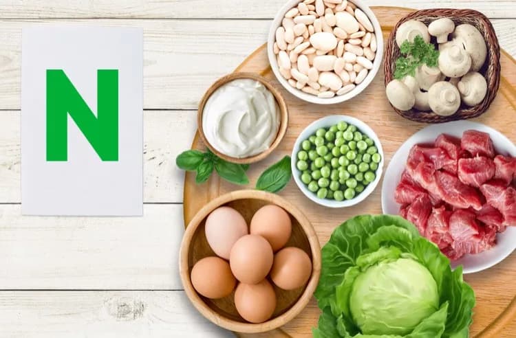 Витамин N (Альфа-липоевая кислота)