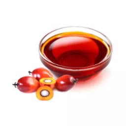 Масло пальмовое