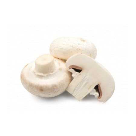 Грибы шампиньоны