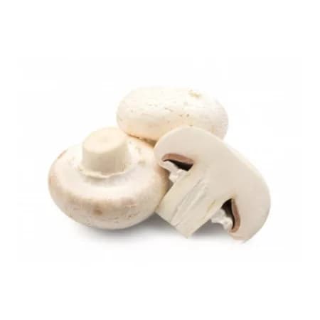 Грибы шампиньоны