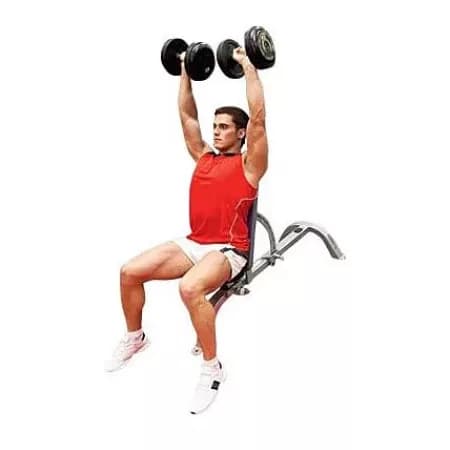 Жим гантелей сидя