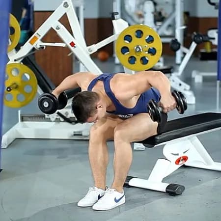 Разведение гантелей сидя в наклоне