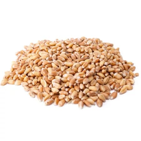 Воздушная пшеница готовая к употреблению