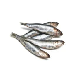 Анчоусы сырые