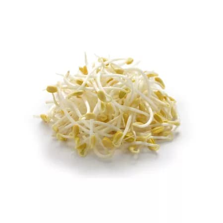 Соевые бобы пророщенные в свежем виде