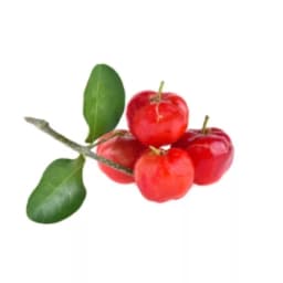 Барбадосская вишня свежая