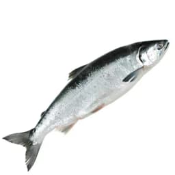 Нерка сырая