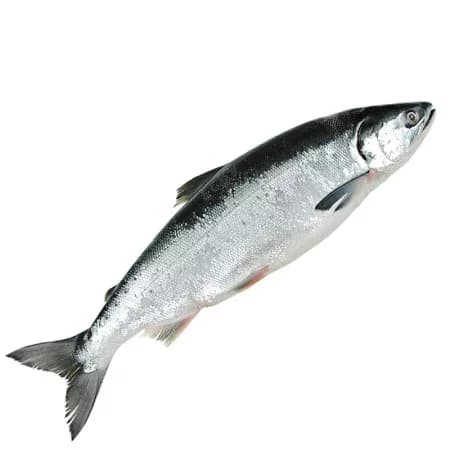 Нерка сырая