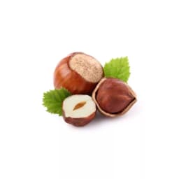 Фундук свежий