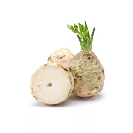 Корень сельдерея в сыром виде