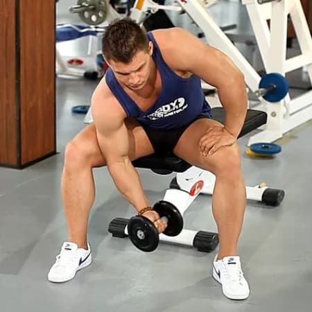 Концентрированные сгибания на бицепс сидя