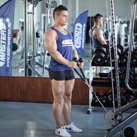 Сгибание рук на бицепс на нижнем блоке с канатной рукоятью