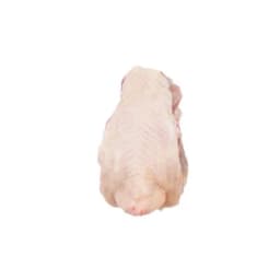 Куриная спинка сырая, мясо с кожей