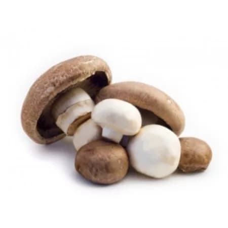 Грибы портобелло сырые