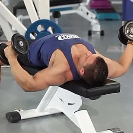 Сведение гантелей лежа