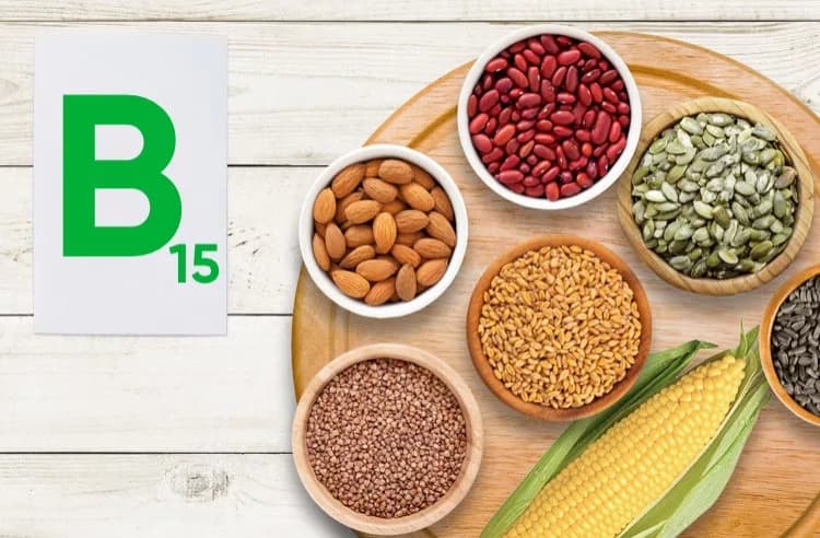 Витамин В15 (Пангамовая кислота)