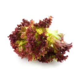 Салат латук красный свежий