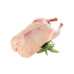 Мясо гусиное сырое