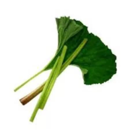 Белокопытник в сыром виде