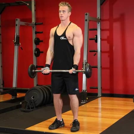 Подъем EZ-штанги на бицепс стоя