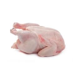 Курица сырое куриное мясо
