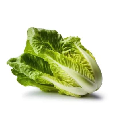 Салат эскарол 