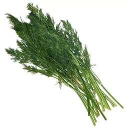 Dill