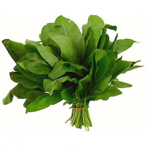 Sorrel