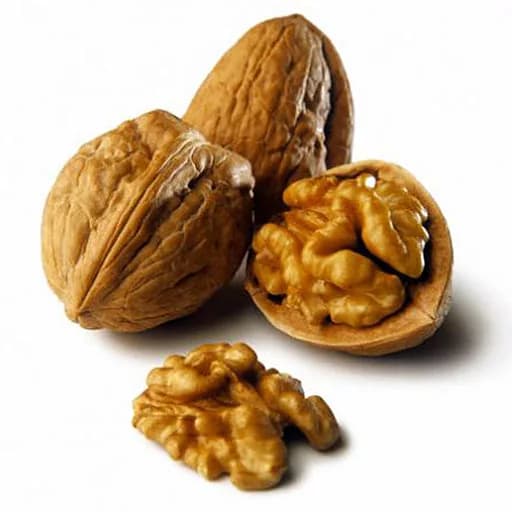 Walnut