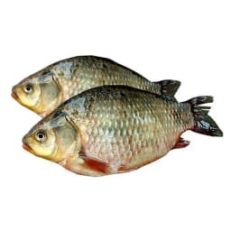 Рыба Карась