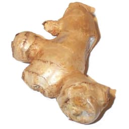 Имбирь свежий