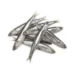 Anchovies