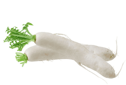 Редька "Дайкон"