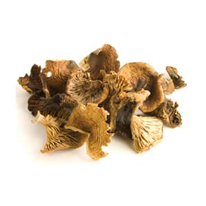 Грибы сушеные