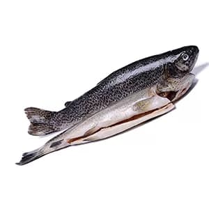 Рыба форель