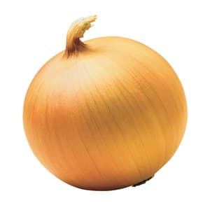 Лук репчатый