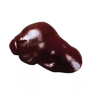 Печень говяжья