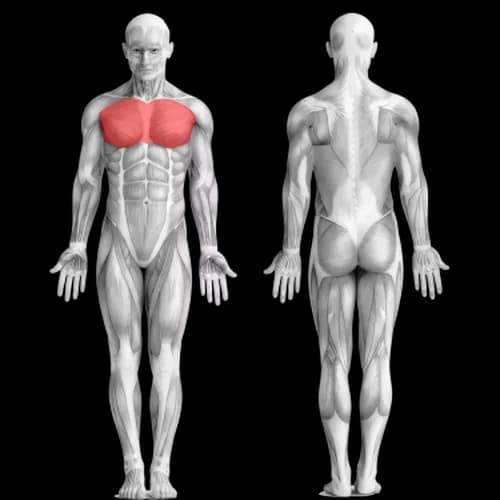 Craig Capurso's Workout Program