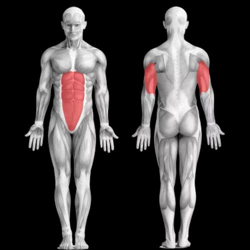 Тренировка трицепсов: максимальный результат с минимумом оборудования