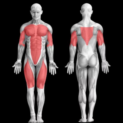 Home Dumbbell Workout Program