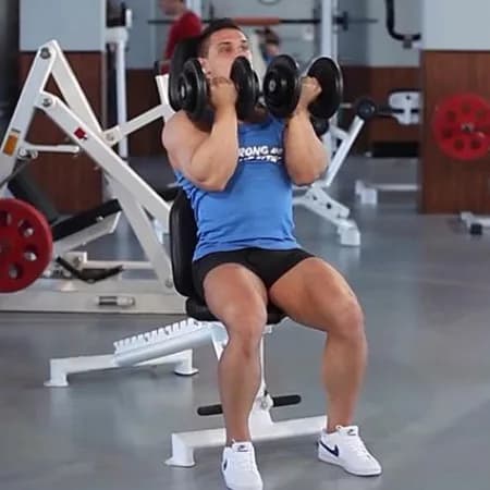 Жим гантелей от Арнольда Шварценеггера