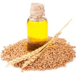 Масло зародышей пшеницы