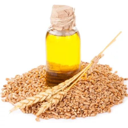 Масло зародышей пшеницы