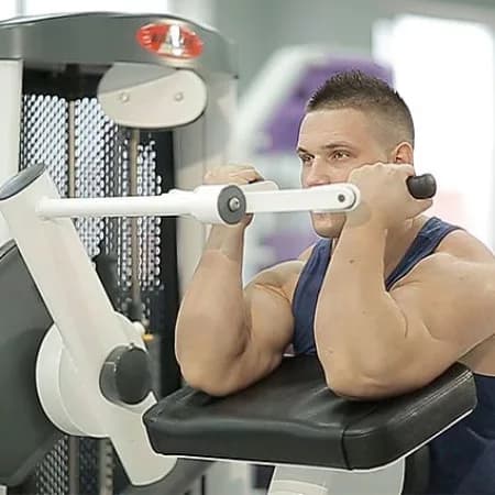 Сгибание рук на бицепс-машине